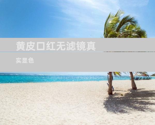 黄皮口红无滤镜真实显色