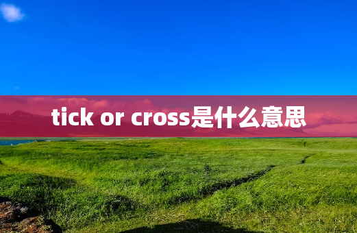 tick or cross是什么意思